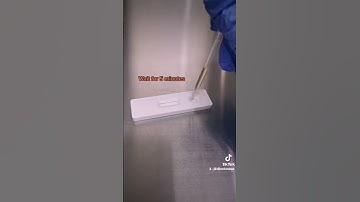 Live pregnancy test #positive #negative #pregnant #PT #pregtest #hcgkit
