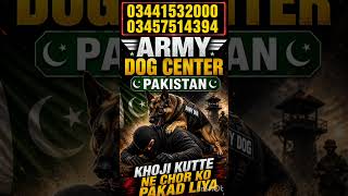 Army dog centre Lahore ! Khojji kutte Lahore ! 03004832717 sniffer dog service Lahore ! Khojji dogs
