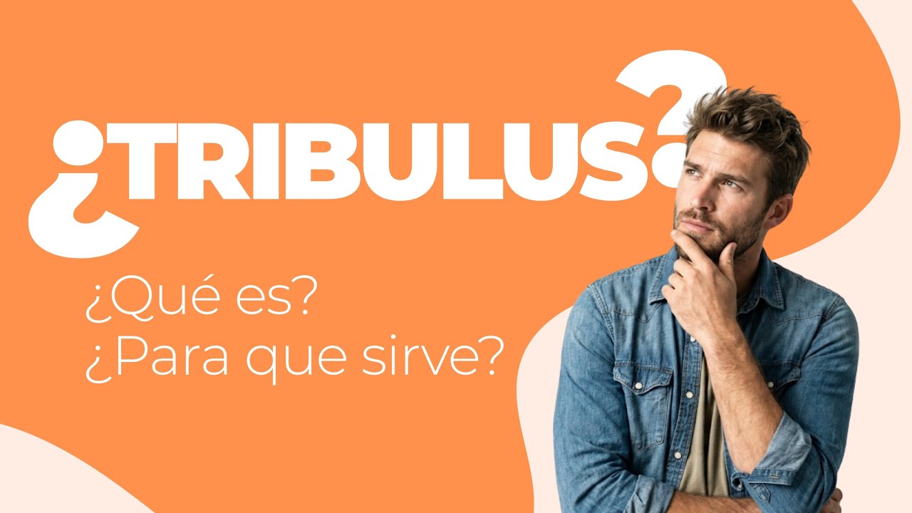 Todo lo que debes saber sobre el Tribulus