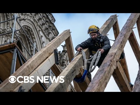 Meet the American craftsman helping rebuild France's Notre Dame cathedral.