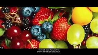 Maioneq10 Miracle 玫丽佳 億嘉国际英文-Cindy Wang63502067