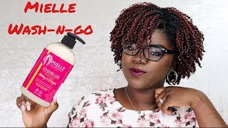 4b 4c Wash N Go with Mielle Honey &amp; Ginger Gel