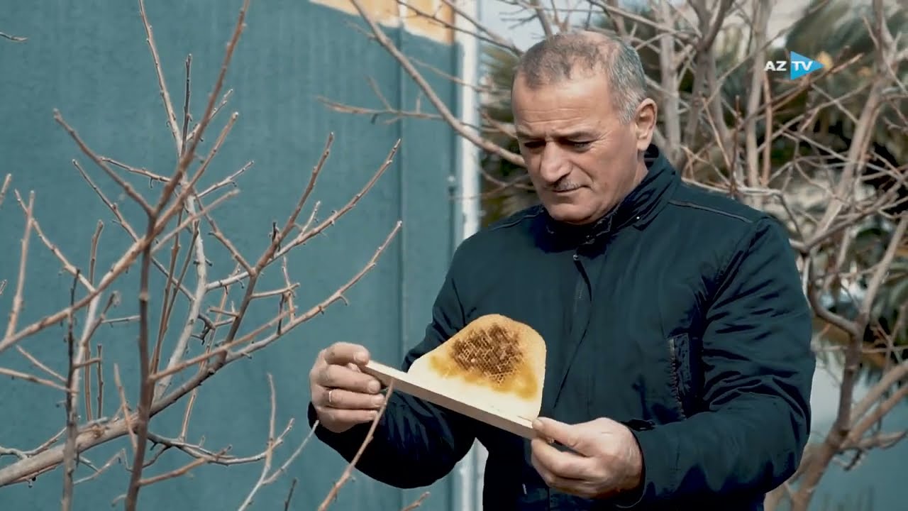 AZTV MƏMLƏKƏTİM (Zaqatala rayonu) (Arıçı) (NN film)