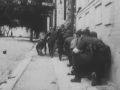 Первые уличные бои на границе СССР. Лето 1941 г.| WW2history.ru/