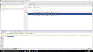 Famous Intro to Java - Debugger, If statement, variables Net Worth