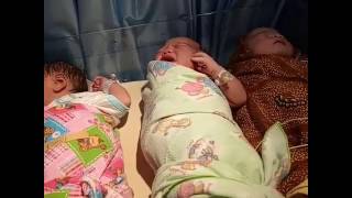 Download Lagu Tangisan bayi baru lahir MP3