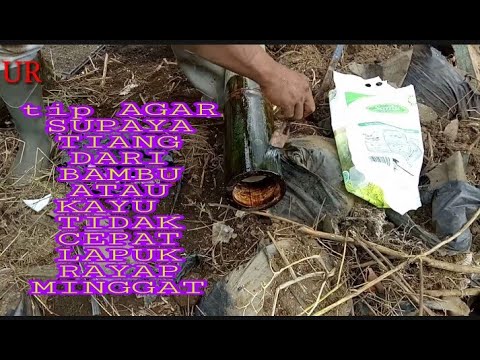 TIP AGAR TIANG DARI BAMBU/KAYU TIDAK CEPAT LAPUK&TIDAK DI MAKAN RAYAP