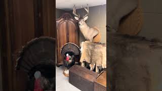 Basement video of Beaver Lake Sale July 16-19th, 2026. 804 Beaver Lake Road Plattsmouth NE 68048.
