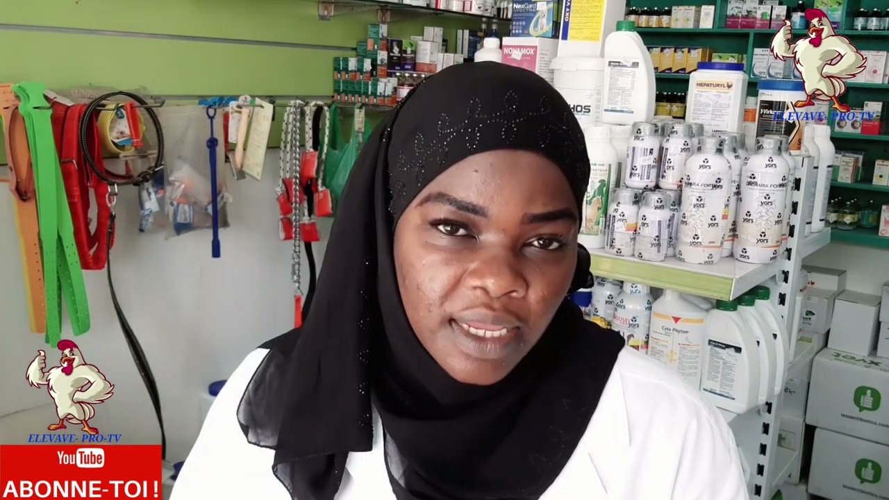 ENTRETIEN DU BÉTAIL (CHÈVRE, MOUTONS, VACHE ET AUTRES. .........