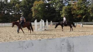 Stonehill Equestrian 2016 Preview