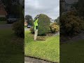 Satisfying Gardening Work🌳#garden #satisfying #cleaning #grass #lawn #viral #fyp #trending #767