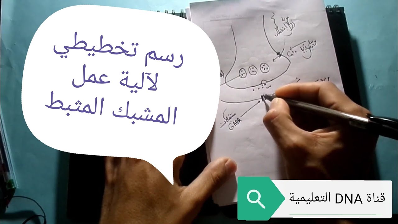 رسم تخطيطي للمشبك العصبي المثبط