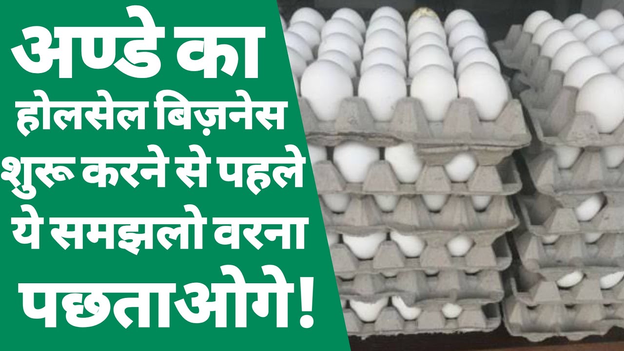 अण्डे का होलसेल बिज़नेस कैसे शुरू करे | ande ka wholesale business kaise kare | egg shop business