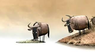 Percepcao de riscos 8o Tronco ou Jacare creditos ao autor