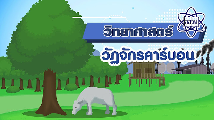 2024 ทำไม คาร บอน เก ด สารประกอบ ได มากมาย