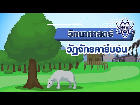 วีดีโอ: มนุษย์เปลี่ยนแปลงวัฏจักรคาร์บอนได้อย่างไร?