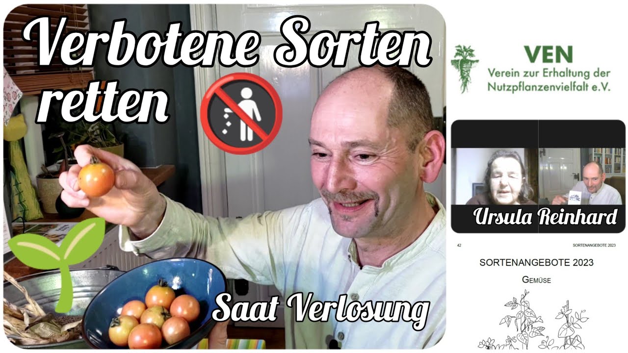 künstlicher eukalyptus kranz Künstlicher Eukalyptuskranz