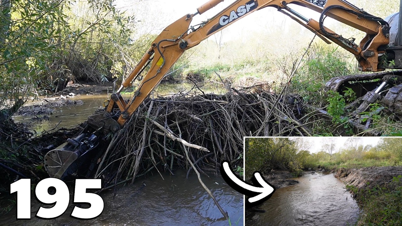 Crunchy Sound - Beaver Dam Removal With Excavator No.195