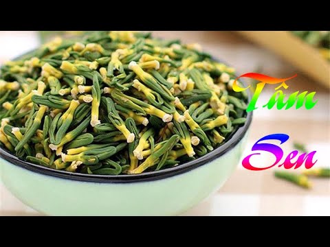 Video ĐIỆN BIÊN - VỊ THUỐC QUANH TA: TÂM SEN - youtube