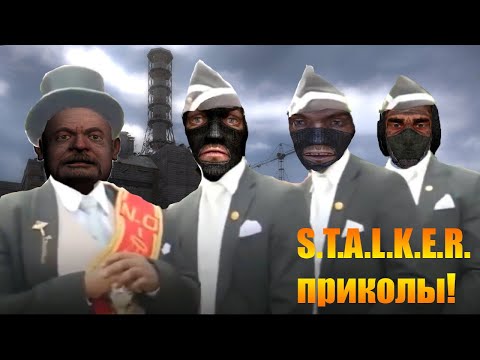 Видео: S.T.A.L.K.E.R:МИНИ/ПРИКОЛЫ №12