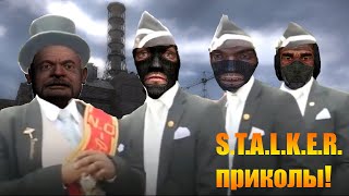 S.T.A.L.K.E.R:МИНИ/ПРИКОЛЫ №12