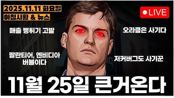 마이클버리, 메타/오라클의 사기행각을 고발한다...??ㅣ[아침시황&미국마감] #251108