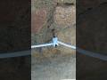 how to tie this smart knot #ropeknots #ytshorts