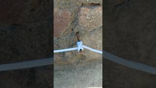 how to tie this smart knot #ropeknots #ytshorts