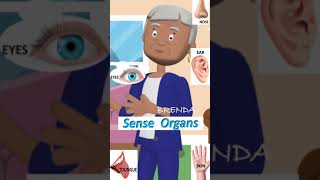 My Senses-Sense Organs-Our Sense Organs-All About me-E.V.S. Class II My Senses