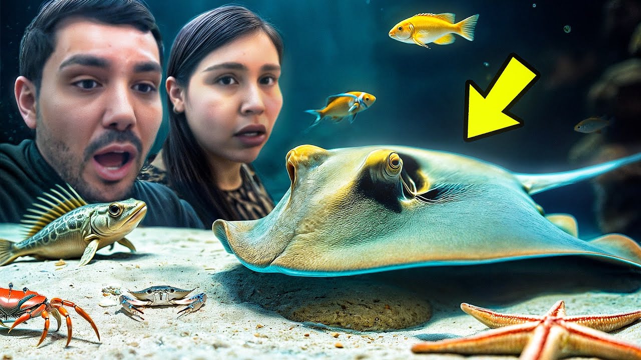VLOG/ CONOCIENDO EL ACUARIO Y TENIENDO CONTACTO CON UNA MANTARRAYA NO ...
