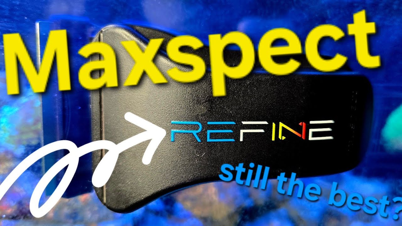 Did the Maxspect REFINE Algae Glass Scraper Hold the #1 Spot at the TOP?!?