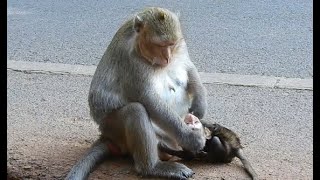 Oh No...very Sad See Leyla Mom Kick Warn Innocent Lucas Like This