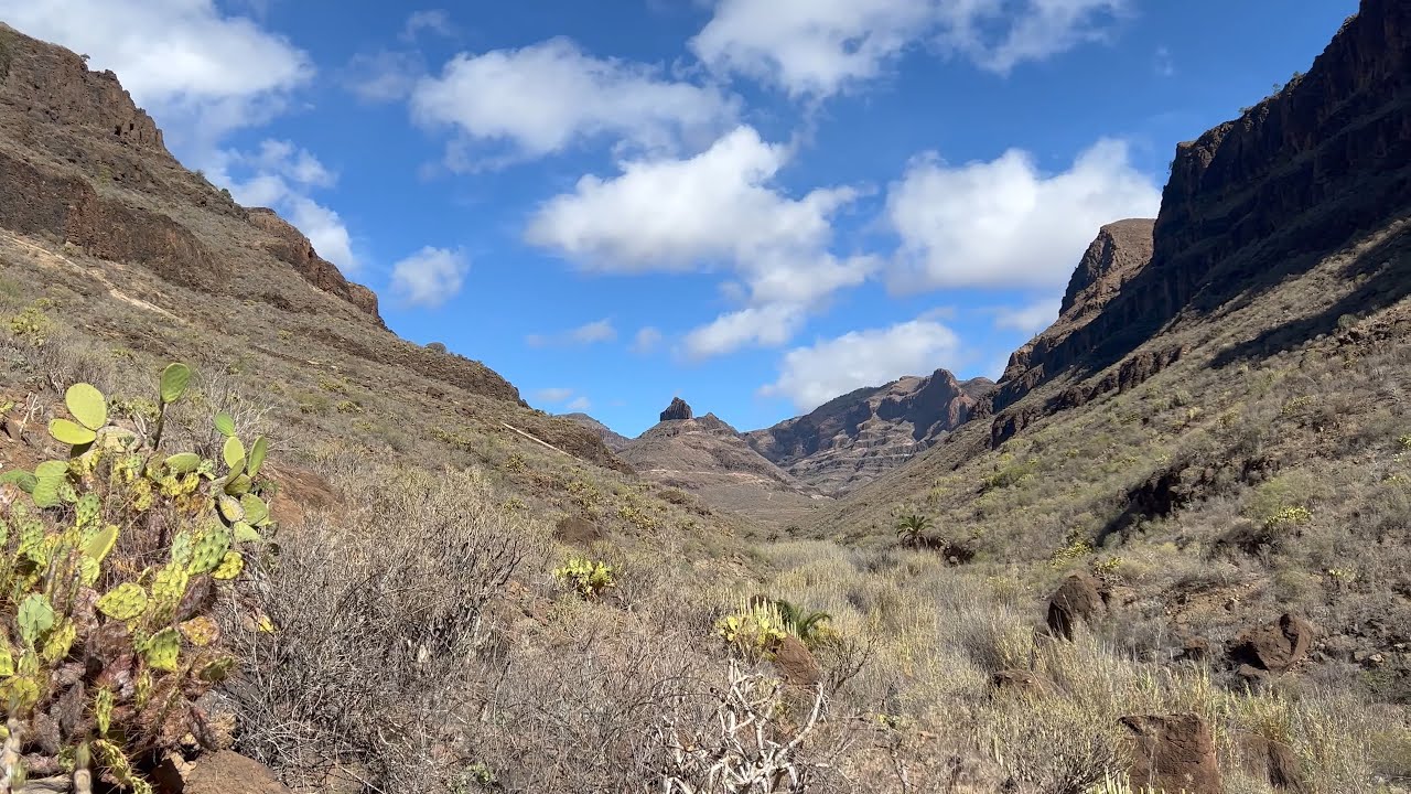Barranco de los Vicentes - Maspalomas (enero 2022)