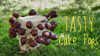Vegan Cake Pops wonderfully displayed in a piece of birch trunk
