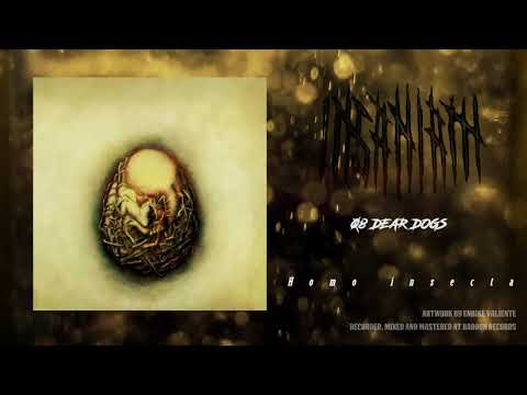 INSANIAM - Dear Dogs (official audio)