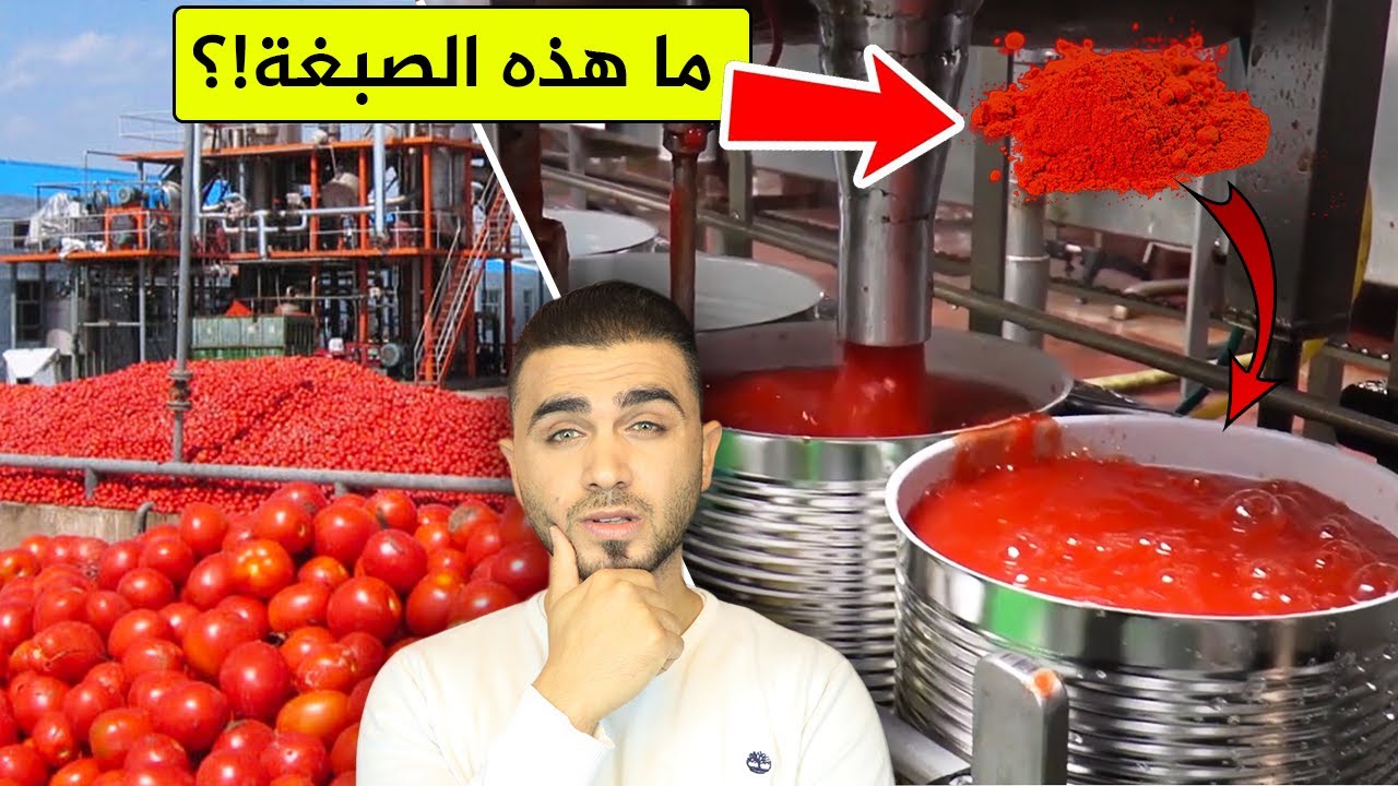 كشف حقيقة اللون الأحمر في صلصة الطماطم المعلبة😱المصنع يكشف الحقيقة🤔شاهد بنفسك!؟