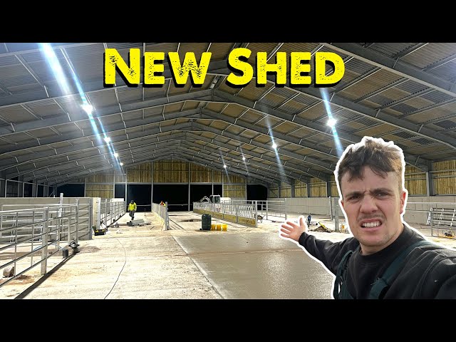 Cattle Shed Update | Ready For Cows class=