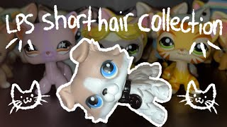 My LPS Shorthair Cat Collection