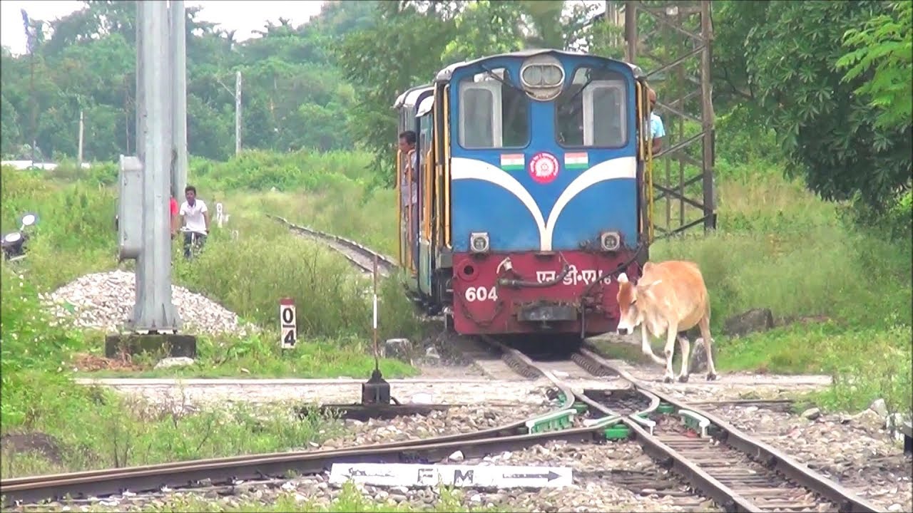 DARJEELING TOY TRAIN Full Journey DARJEELING HIMALAYAN RAILWAYS Indian Railways YouTube