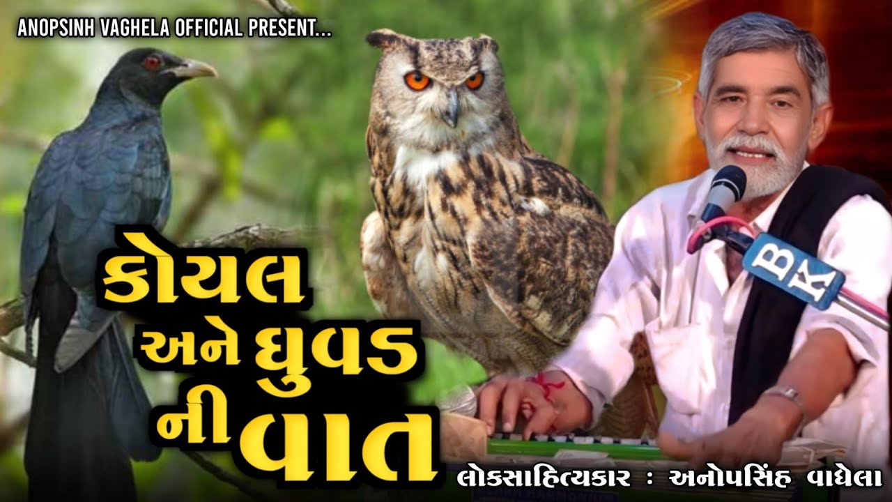 કોયલ અને ઘુવડ ની વાત | Anopsinh Vaghela | Anopsinh Vaghela Official