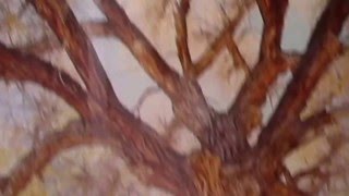 Tree Installation Boulder Public Library