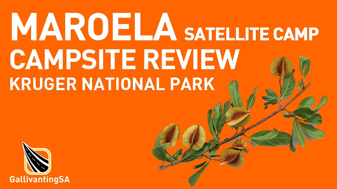 A campsite review of Maroela Satellite Campsite, Kruger National Park - January 2025