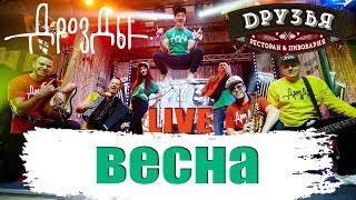 Дрозды-Весна (Live) Ресторан Друзья