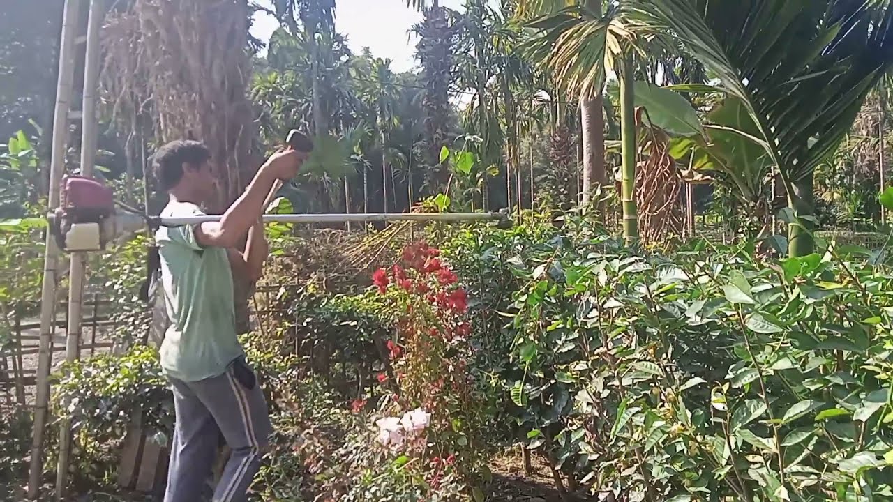 Hedge  trimmer ms tea cutting blade যিকোনো কাটিং কাটিব পাৰি বহুত কম সময়ত