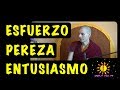 El Esfuerzo en el camino espiritual (Lama Rinchen Gyaltsen) - Amor y Vida TV 208