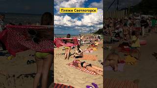 #shorts Пляжные страсти Светлогорска