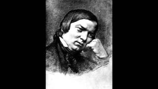 Schumann - Fremder Mann opus 68 no 29