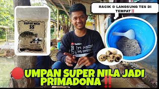 🔴UMPAN SUPER NILA JADI PRIMADONA‼️BABON RAME NAIK SEMUA ||KUKUMBUL NGETRIK TERUS PAKAI UMPAN INI MAH