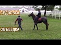 Седловка и объездка лошади Кабардинской породы. Агроэкспедиция по Кабардино-Балкарии