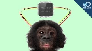 Taking Brain Implants Wireless